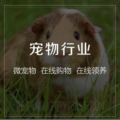 崇左宠物