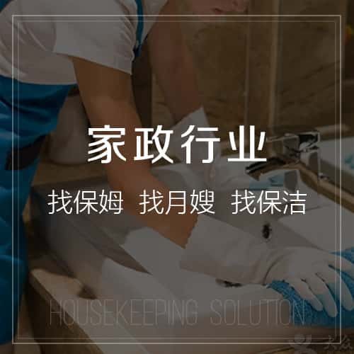 崇左家政