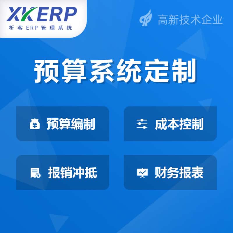 崇左财务预算管理系统